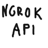 Ngrok Api