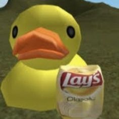 Quack Pack Beta