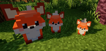 More Animals