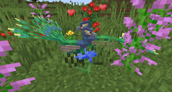 Peacock Breed