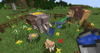 Animals