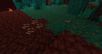 Fungus spreading in the nether