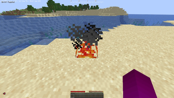 Fire