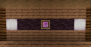 Ingame appearance in item frame