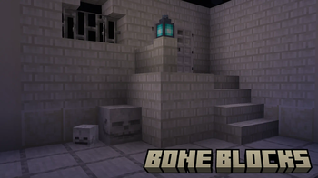 Bone Building