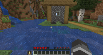 Invisible Totem