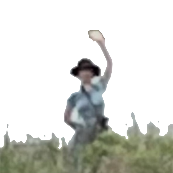 HO/WDY