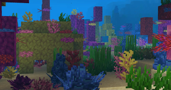 A coral reef!