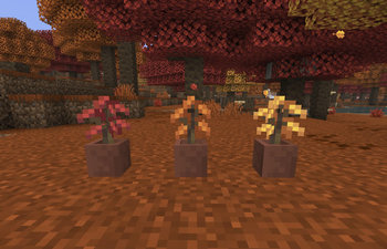 Poplar Sapling Variants — screenshot 1