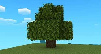 Oak Tree