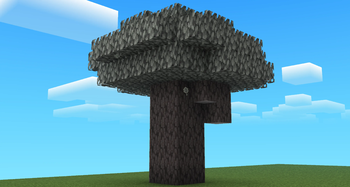 Pale Oak Tree