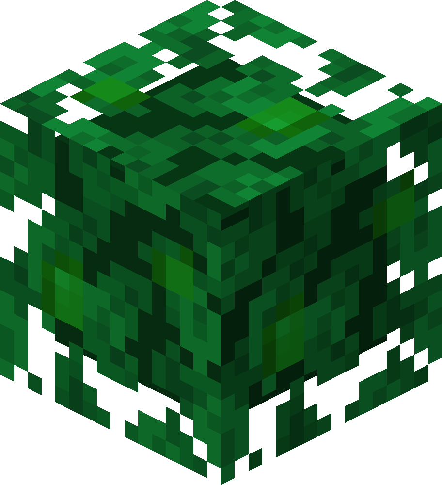 Jungle Leaves