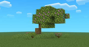Azalea Tree