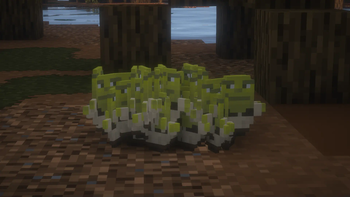 Shrek Totem On Ground