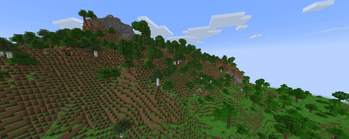 Forest and Jungle Hills