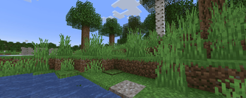 Forest Island