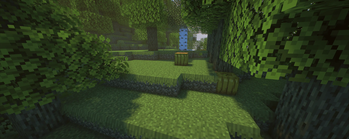 With +4 pixels to the grass and Super Duper Vanilla Shaders