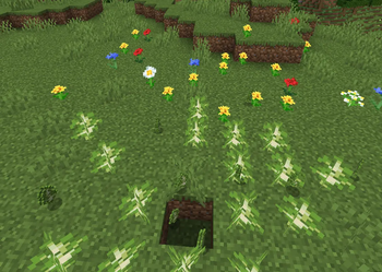 Saplings planting