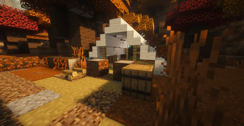 Abandoned Camp in the Dappled Forest
