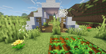 Abandoned Camp & Wool Stairs