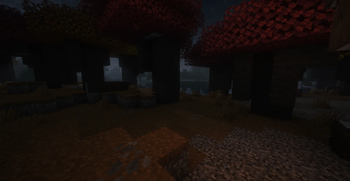 Night in the Dappled Forest