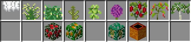 New Natural Blocks