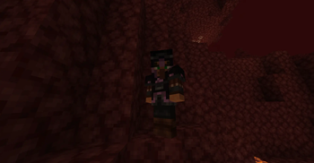 Warrior Villager