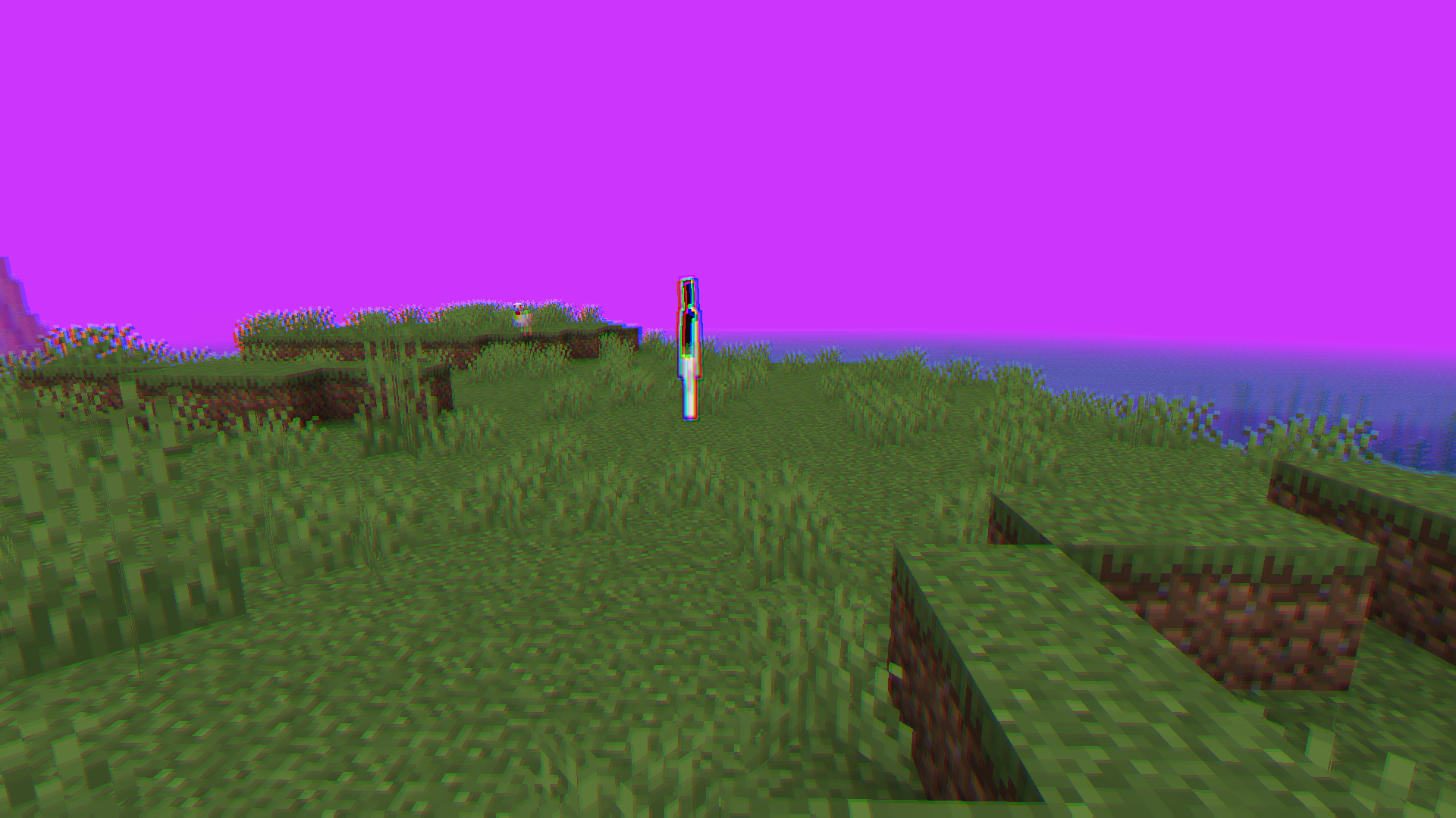 Hallucination