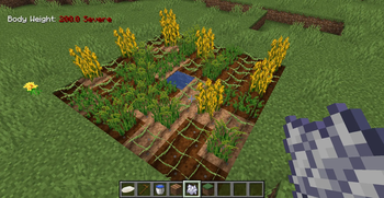 Various Food — screenshot 2