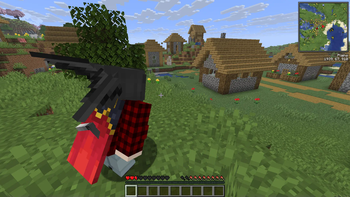 Custom Player Models and Minimap