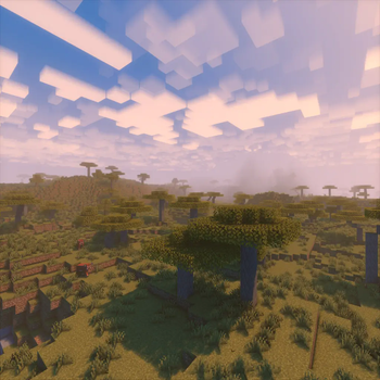 Shaderpack Support