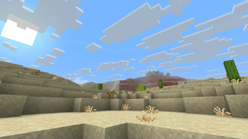 Desert Clouds