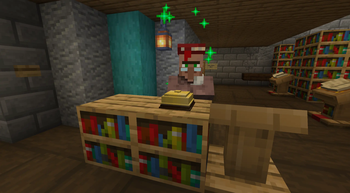Librarian Villager
