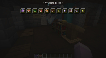 Guide books