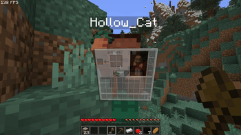 Playing with my friend (WATUT mod showcase)