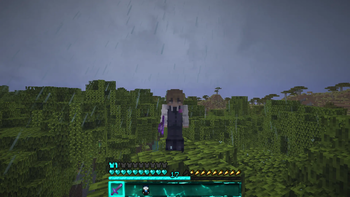 Rain Sky