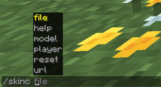 Skin Changer Commands