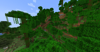Jungle Soil (Oxisol)