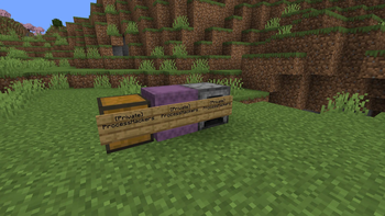 Private Chest Protection