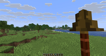 Wooden Spear