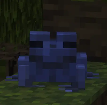 Blue Frog Front
