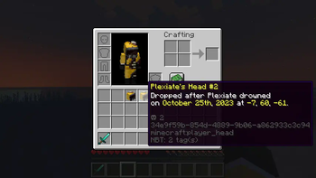 Player head example