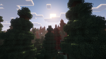 Special Forest