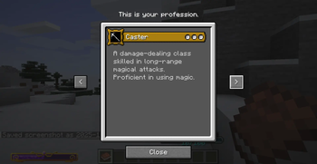 skill description