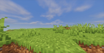 Just Small Grass