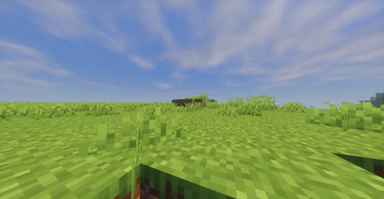 Just Small Grass