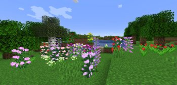Flower Variant Colours