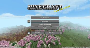 Custom Titlescreen!