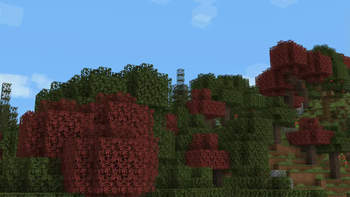 Maple Woods