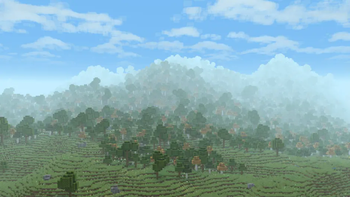 Hilly Forest